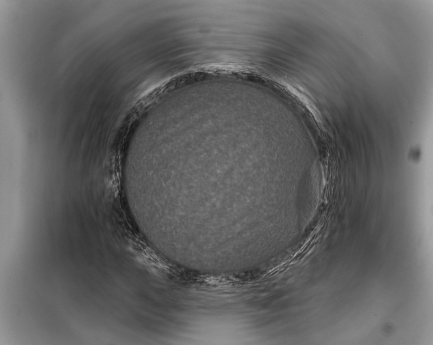 X0000097951015200804070959