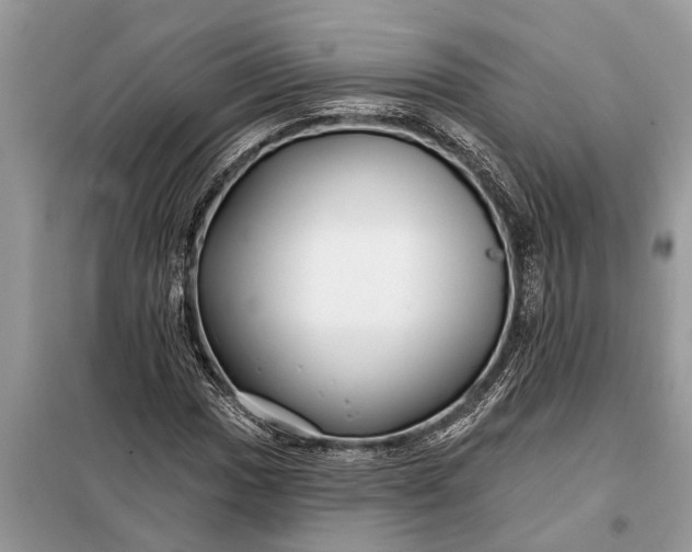 X0000097951017200804070959