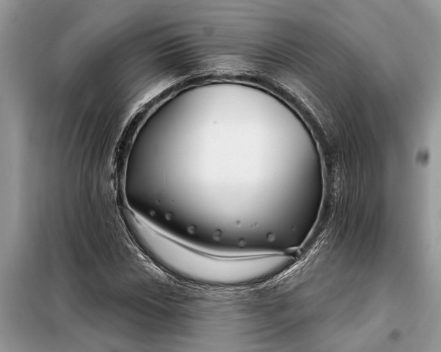X0000097951018200804070959