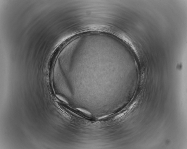 X0000097951019200804070959