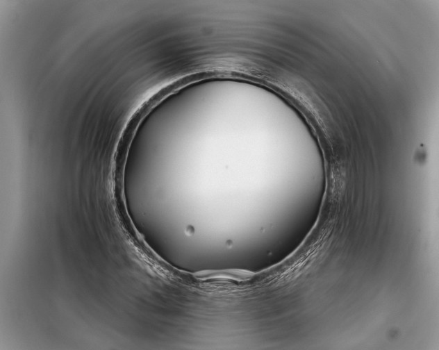 X0000097951020200804070959