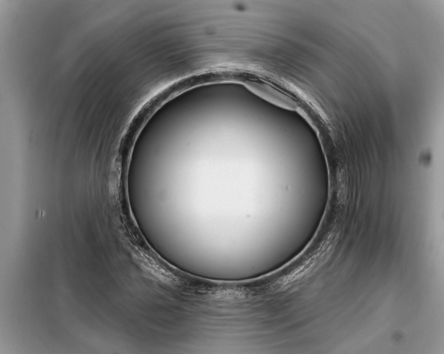 X0000097951021200804070959