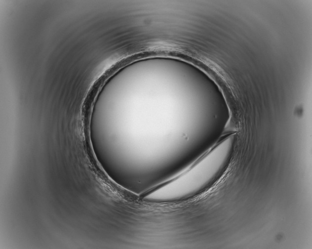 X0000097951022200804070959