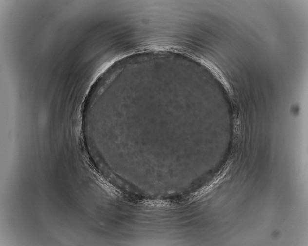 X0000097951023200804070959