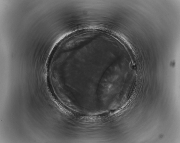 X0000097951024200804070959