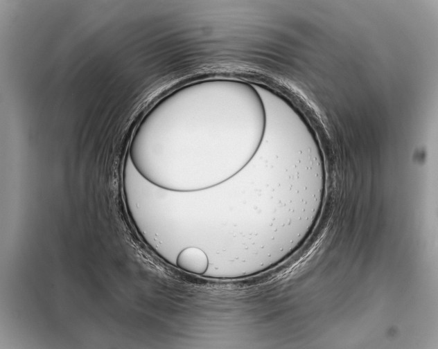 X0000097951025200804070959