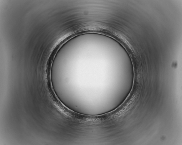 X0000097951026200804070959