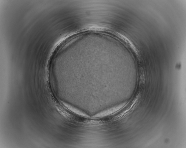 X0000097951027200804070959