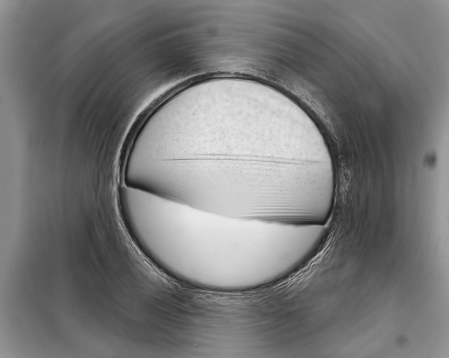 X0000097951028200804070959