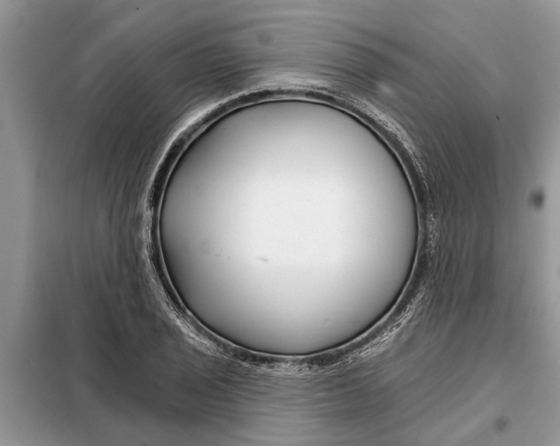X0000097951029200804070959