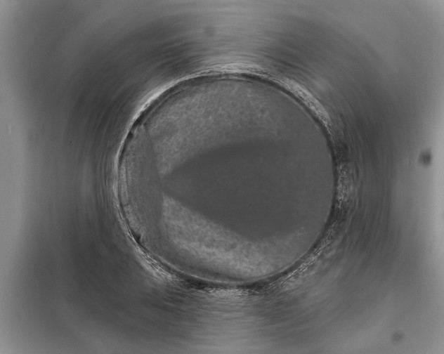 X0000097951031200804070959