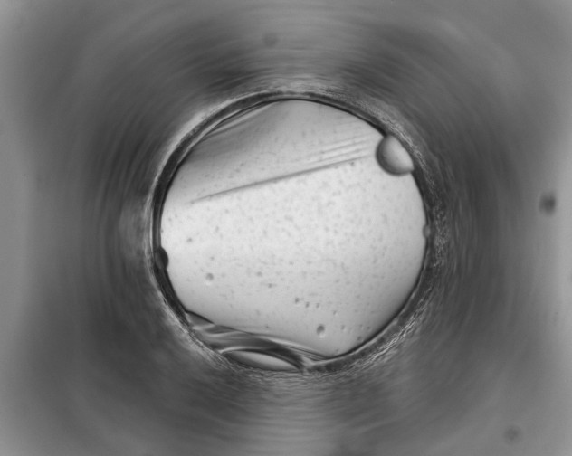 X0000097951032200804070959