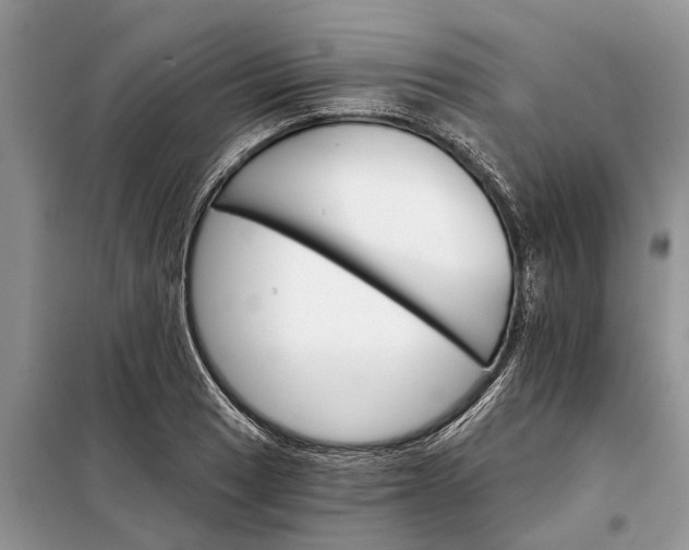 X0000097951033200804071000