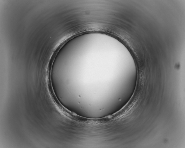 X0000097951034200804071000
