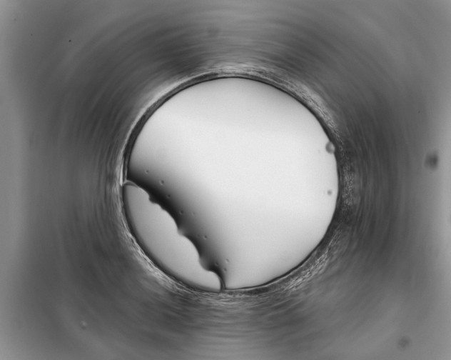 X0000097951036200804071000