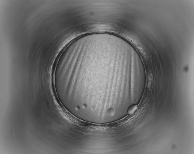 X0000097951039200804071000