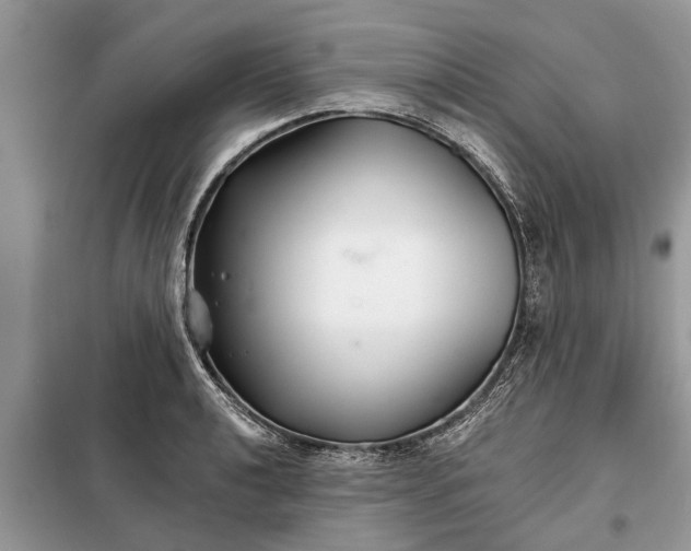 X0000097951040200804071000