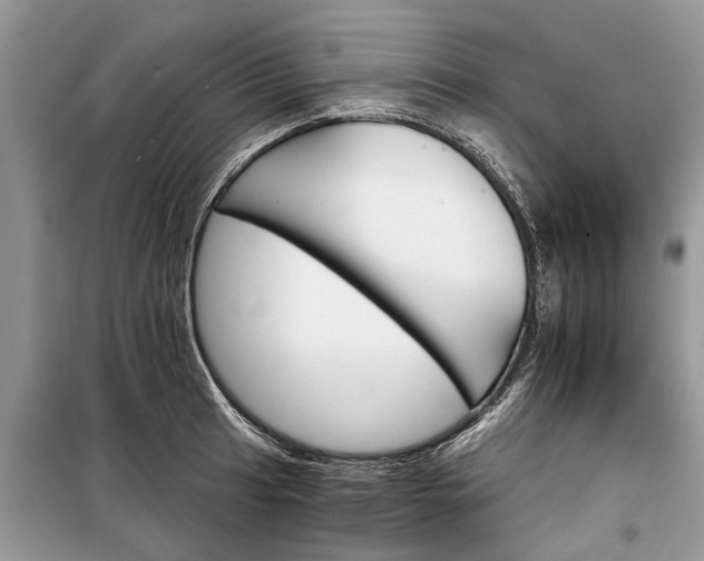 X0000097951041200804071000