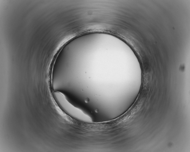 X0000097951042200804071000