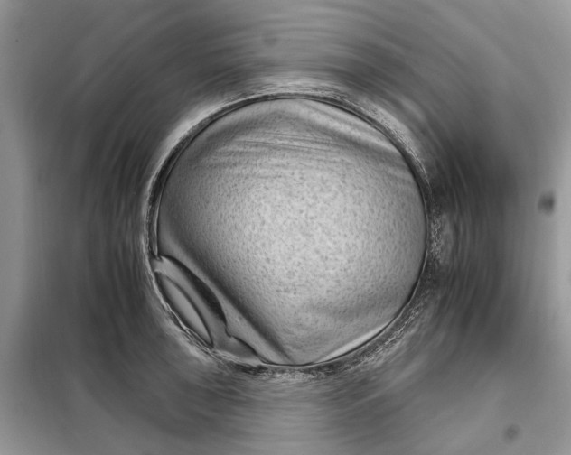 X0000097951043200804071000