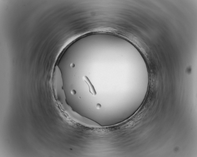 X0000097951044200804071000