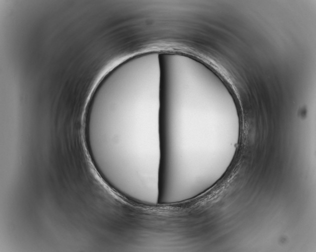 X0000097951045200804071000