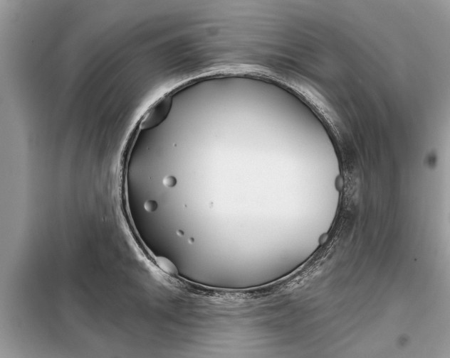 X0000097951046200804071000