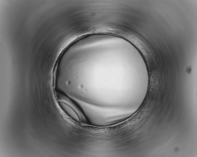 X0000097951047200804071000