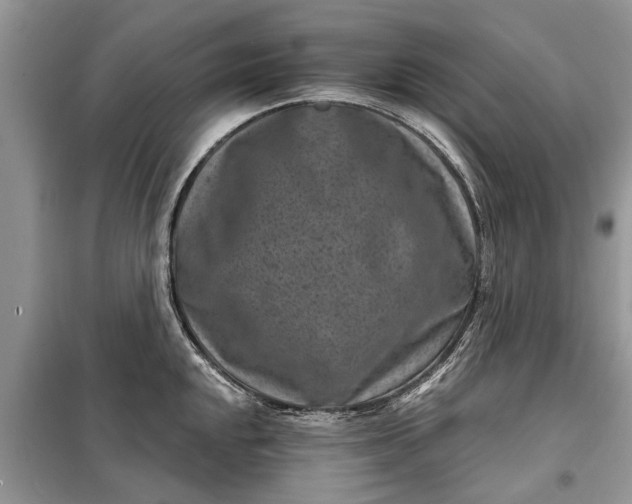 X0000097951048200804071000