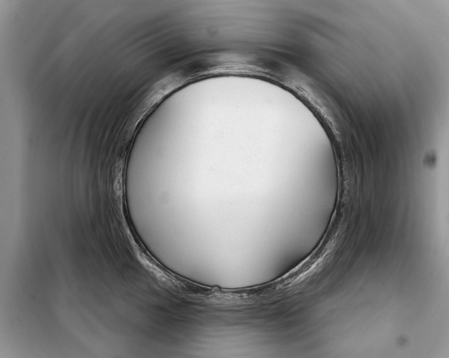 X0000097951049200804071000