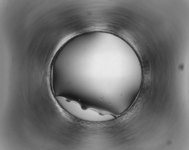 X0000097951050200804071000
