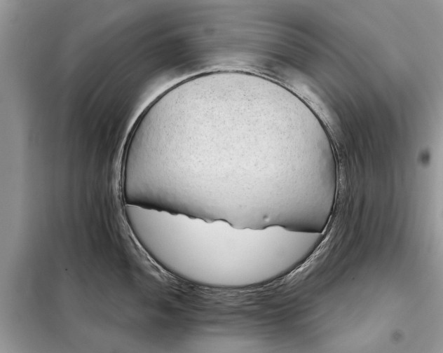 X0000097951052200804071000
