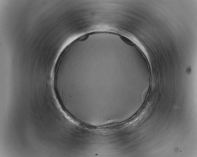 X0000097951053200804071000