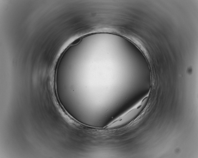 X0000097951054200804071000