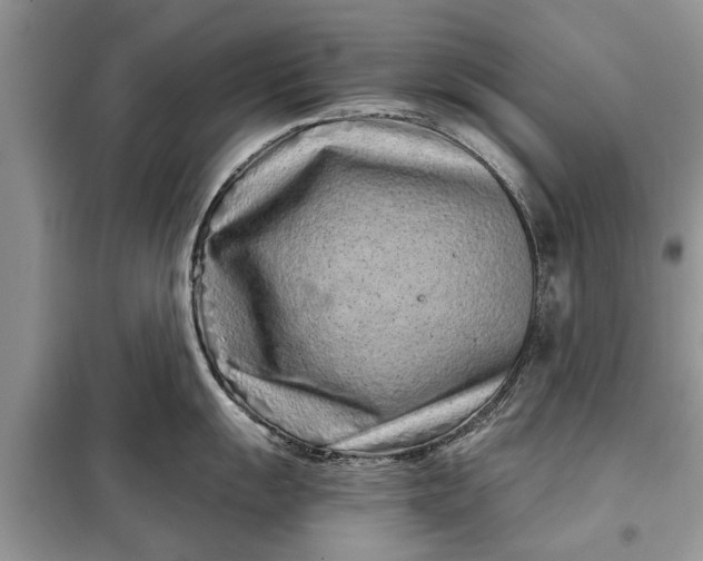 X0000097951055200804071000