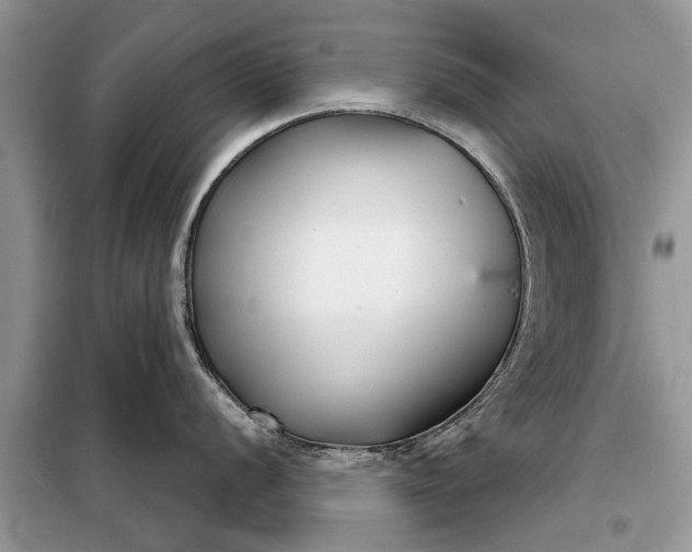 X0000097951056200804071000