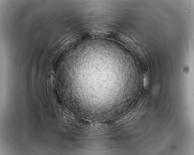 X0000097951059200804070959