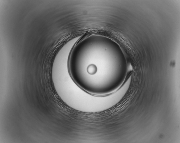 X0000097951060200804070959