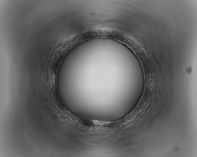 X0000097951061200804070959