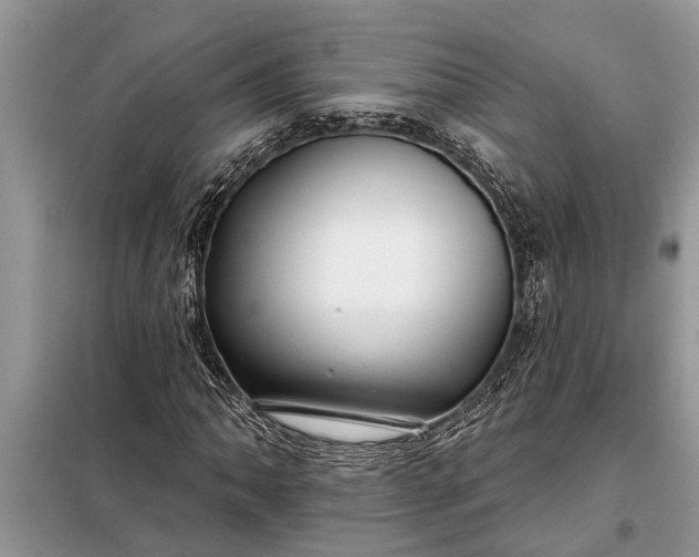 X0000097951062200804070959