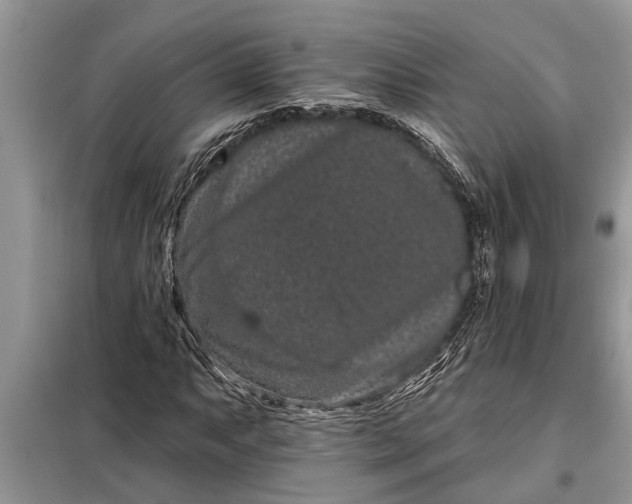 X0000097951063200804070959