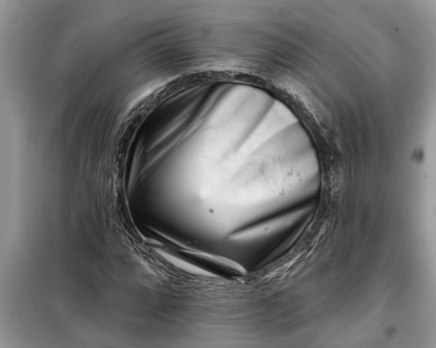 X0000097951064200804070959