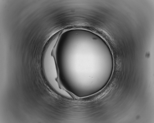 X0000097951065200804070959