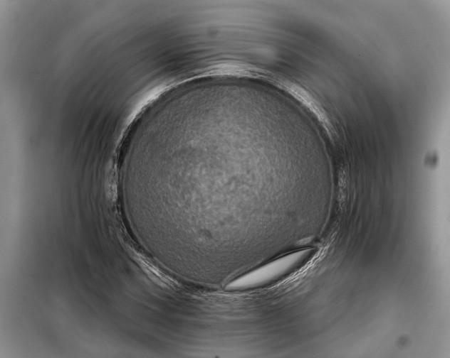 X0000097951067200804070959