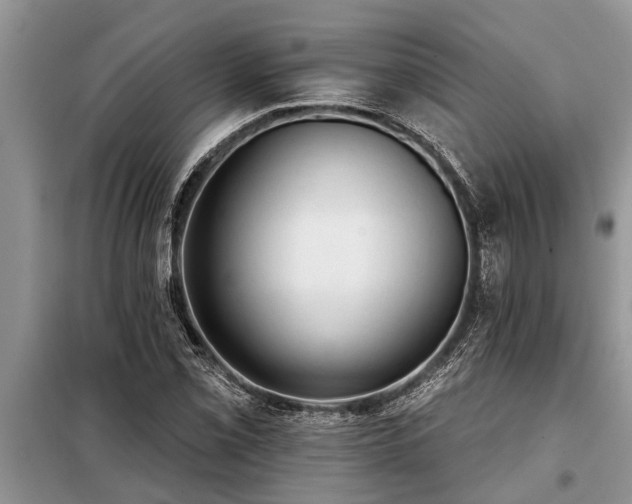 X0000097951069200804070959