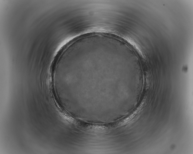 X0000097951070200804070959