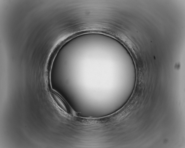 X0000097951072200804070959