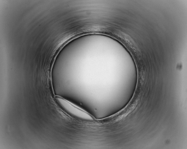 X0000097951073200804070959
