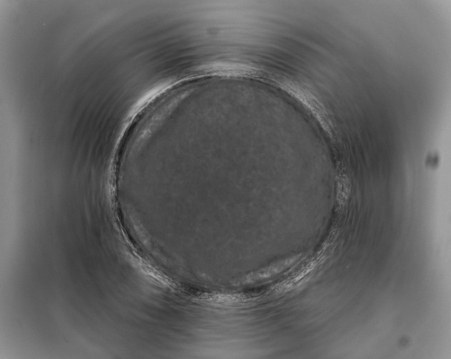X0000097951074200804070959