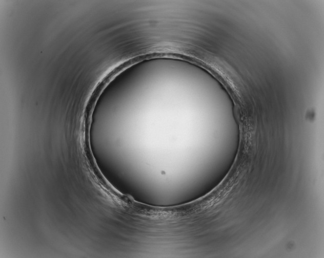 X0000097951076200804070959